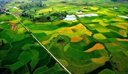 江华：实施“雁归瑶都”工程吸引人才回乡