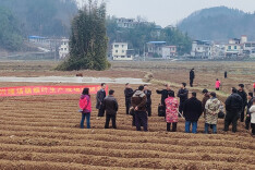 泸溪县兴隆场镇：烟叶生产田间课堂 提升烟农增收技能