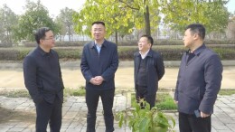 黄力调研批而未供土地盘活处置工作：统筹推进 科学管理 积极盘活