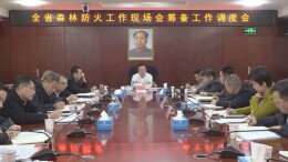 王洪灿主持召开全省森林防火工作现场会筹备工作调度会