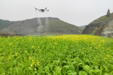 泸溪县兴隆场镇：“农机+农技”奏响春耕“交响曲”