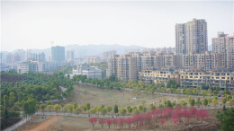 今日的镡城公园热闹非凡