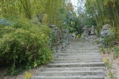 诗画洪江，邀您来踏春