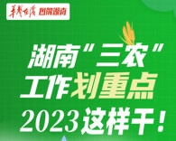 【图解】湖南“三农”工作划重点，2023这样干！