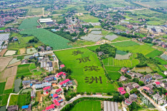 滨洲新村：湘江水畔花成海 党群联手迎新光