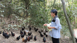 杏子铺镇：巾帼英雄谱新篇