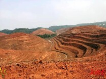 金紫仙镇：党建引领促集体经济发展