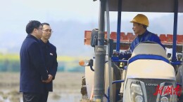 安仁农商银行：金融“活水” 助力春耕