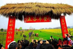 “安仁赶分社”极简版攻略来了，这些精彩不容错过！