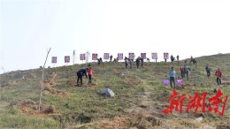 要闻|冷水滩：义务植树添新绿