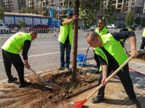 麻阳纪委监委开展“党员我先行·共植清廉树” 主题党日活动
