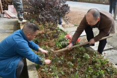 植新绿 扬正气 通道纪委监委开展绿色植树主题活动