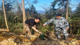 春光无限好 植树正当时：我县开展2023年义务植树活动