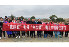 植树添新绿 发展正当时