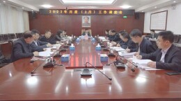 3月份月度工作调度会召开