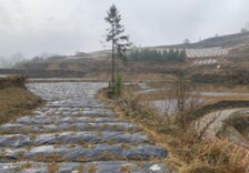 凤凰县新场镇：念绿色“真经”，建富民产业