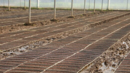 江华：集中育秧 助力早稻生产