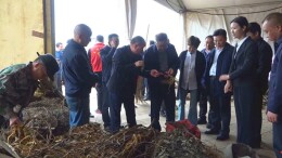 童章舜一行来我县调研湘赣边区域合作示范区建设情况