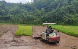 鹤城区：精准监督推进“三湘护农”