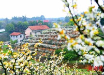 岳阳经开区：花果山有了“新大王”