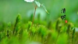 关 于 清 明 的 24 句 话！