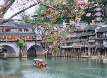 凤凰：小城春色满人间