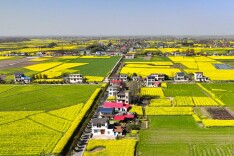 浪拔湖镇：特色产业助民富 辣味小镇谱新章