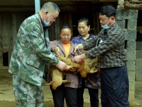 一图新闻 | 双牌：走村串户打疫苗 服务养殖业发展