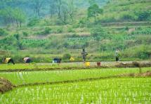 鹤城区：一线监督护春耕