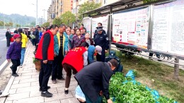 泸溪县上堡社区：送果蔬种苗助春耕