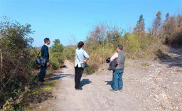 辰溪县委巡察组：立行立改见实效 同题共答惠民生