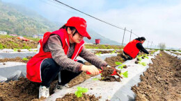 泸溪着力提升民族团结进步成色
