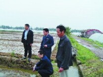 湖南日报│麻阳以“四抓四促”提升“三湘护农”实效