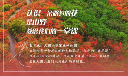 【海报】五一“不扎堆”！长沙这些地方也好玩