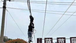 我为群众办实事丨泸溪科工信局：加强农村杆线整治 助力美丽乡村建设