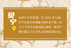 【SVG海报】走进主宾国，让中非经贸往来的种子生根发芽