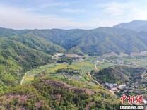 走进江西石城大畲村 背靠青山荷池环绕秀美如画