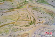 航拍黄河河道河汊纵横 犹如大地脉络