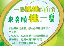 【图解】一只桃桃的自白：来炎陵，“桃”一夏