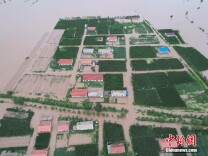 吉林榆树部分乡镇被洪水漫灌 森林消防紧急驰援