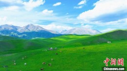 新疆昭苏野狼谷：纳凉赏景好地方