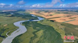 风吹麦浪遍地香 新疆昭苏“丰”景如画