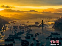 广西梧州朝霞映江水 船行西江宛如山水画