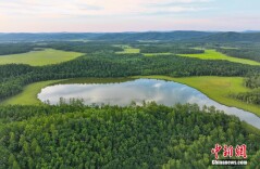 内蒙古大兴安岭林区的夏日风景