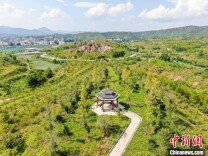 “江南戈壁”变绿色生态公园 瞰江西于都崩岗区的美丽“蝶变”