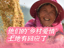 【海报】他们的“乡村爱情”，土地有回应了