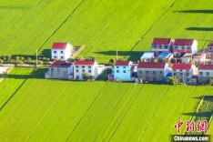 航拍江苏连云港灌南乡村 景致美如“童话世界”