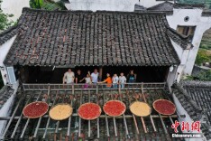 初秋时节航拍江西婺源独特“晒秋”景观