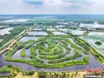 这里的初秋很迷人 航拍江苏淮安白马湖湿地水上“迷宫”