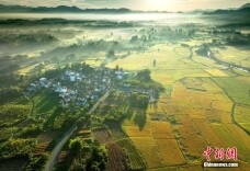 安徽黄山：古村田园秋色美